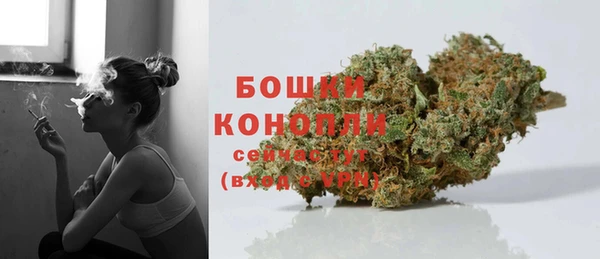 молекула духа Гусев