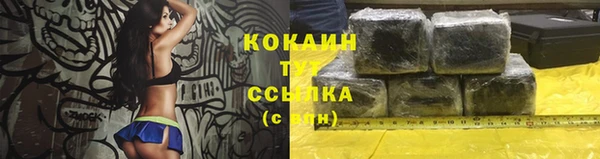 стафф Апатиты