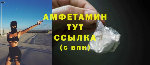 молекула духа Гусев