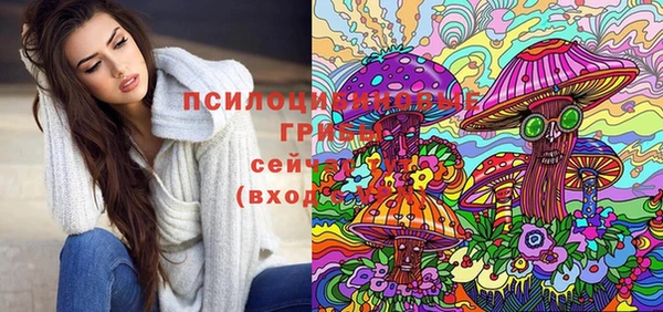 кокс Гусь-Хрустальный