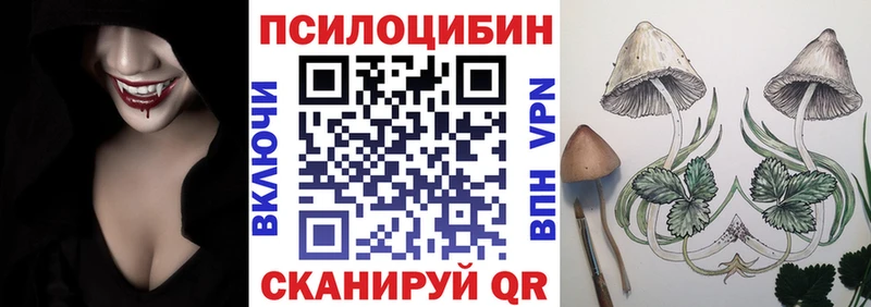 mega рабочий сайт  Борзя  Псилоцибиновые грибы Psilocybe  где купить  
