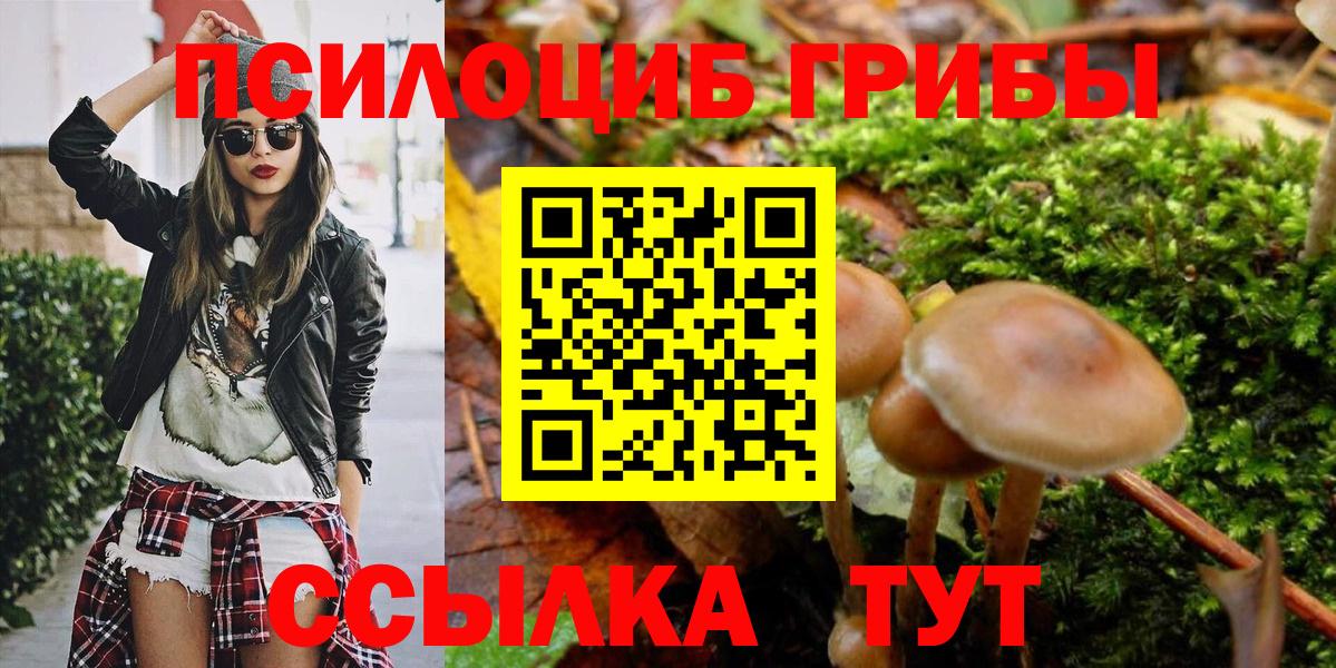 Псилоцибиновые грибы Cubensis  Борзя  Галлюциногенные грибы Cubensis 