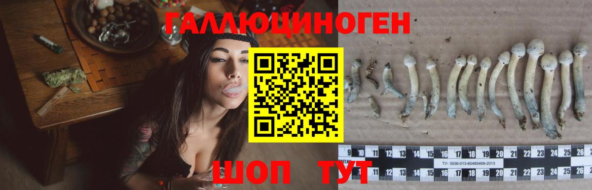 Псилоцибиновые грибы MAGIC MUSHROOMS Борзя